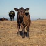 ranch solar gps locator