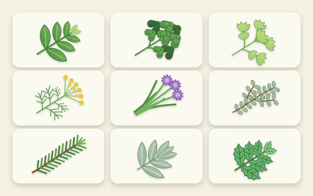 Nine herb sprigs of distinct shapes in a grid: basil, parsley, cilantro, dill, chives, thyme, rosemary, sage and mint