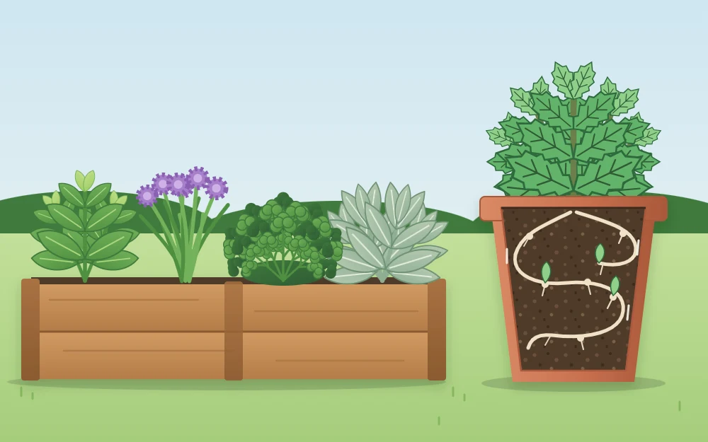 A mint plant growing in its own pot beside a raised bed, with its runners contained inside the pot