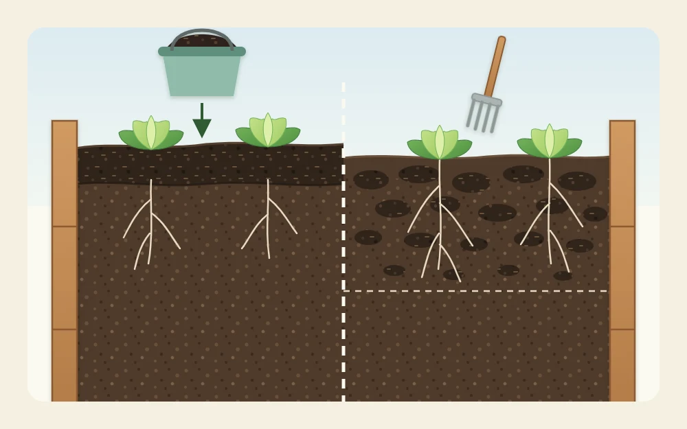 Cutaway of the top of a bed with a dark compost layer on the surface and compost mixed into the upper soil beside it