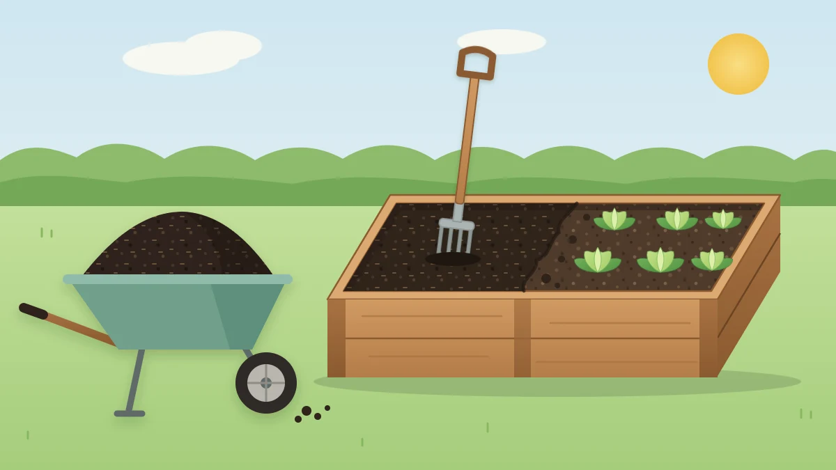 A wheelbarrow of dark crumbly compost beside a raised bed with compost spread over half its surface and a garden fork standing in it