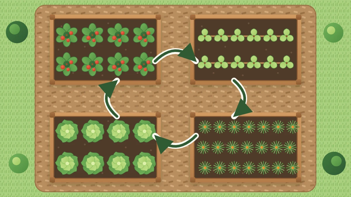 Four raised beds in a square seen from above, each with a different crop group, and curved arrows moving the groups one bed clockwise