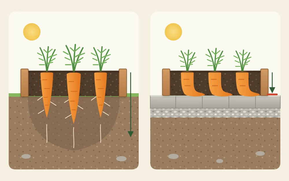 The same low frame in two places: on open soil with carrot roots passing below it, and on a paved patio where roots stop