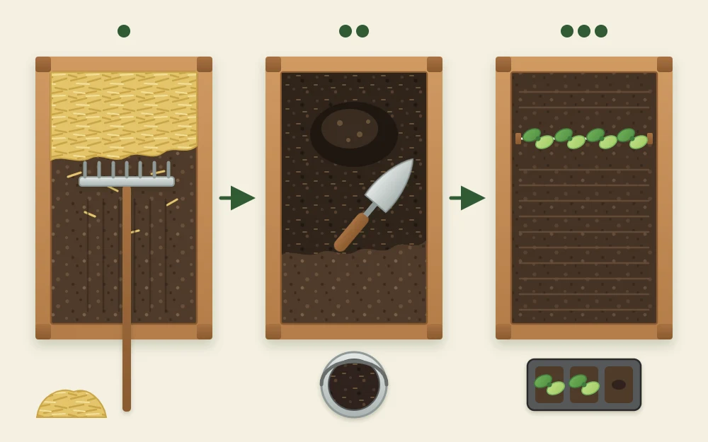 Three steps joined by arrows: old mulch raked aside, compost spread on the bed, and the leveled bed with a short row of seedlings
