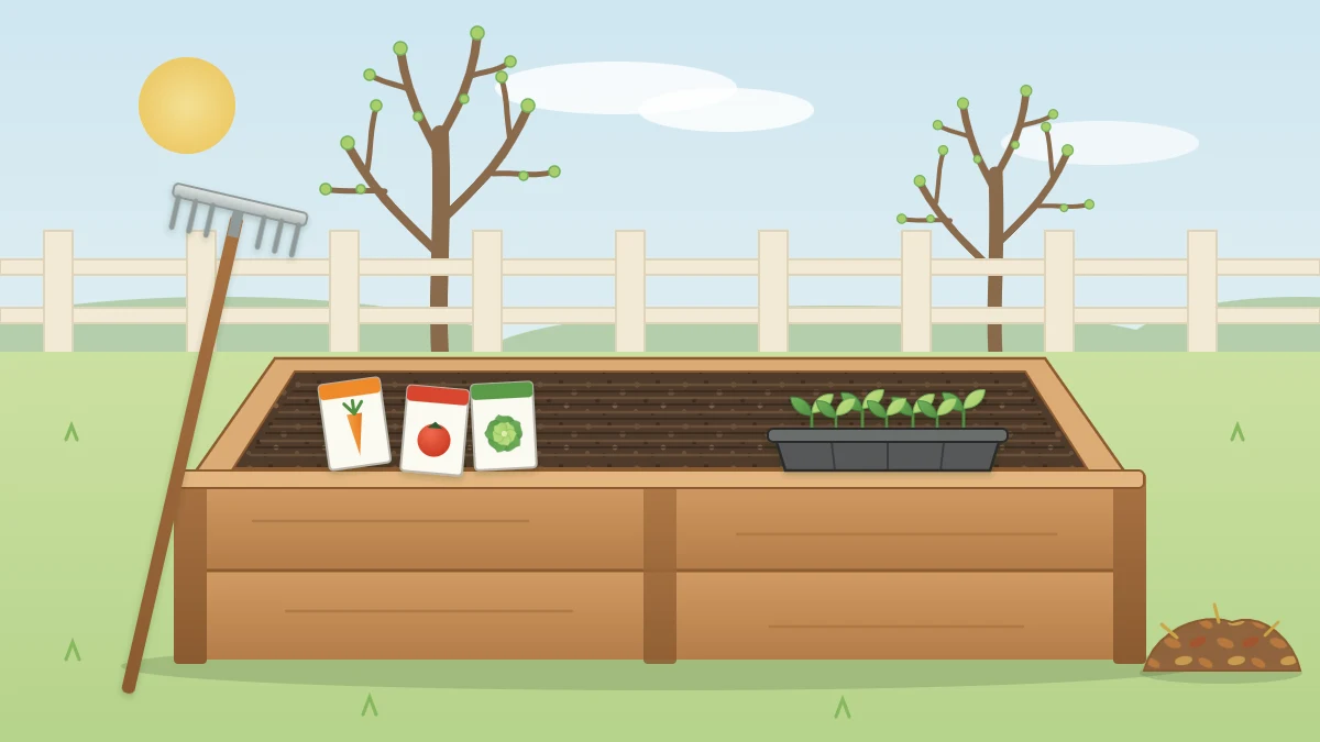 An early spring garden with a freshly raked empty raised bed, a rake leaning on the frame and a tray of seedlings on the edge