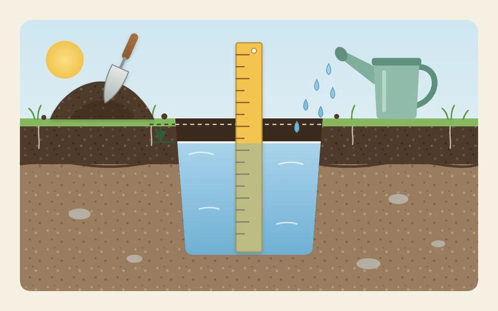 A small test hole dug in garden soil and filled with water, with a ruler standing upright in it