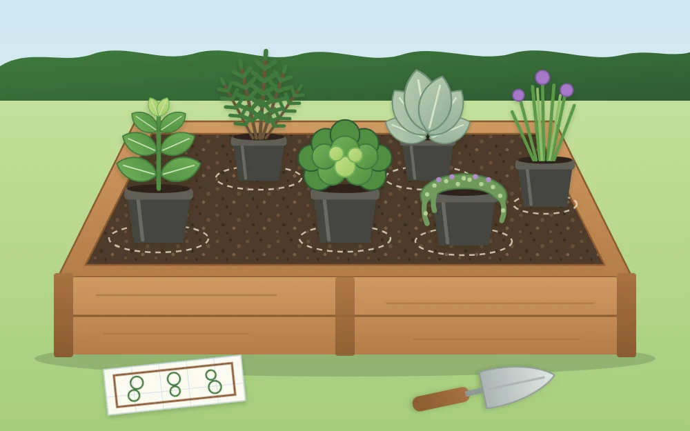 Nursery pots of herbs standing on the soil of an empty raised bed in their planned positions, a trowel beside the bed