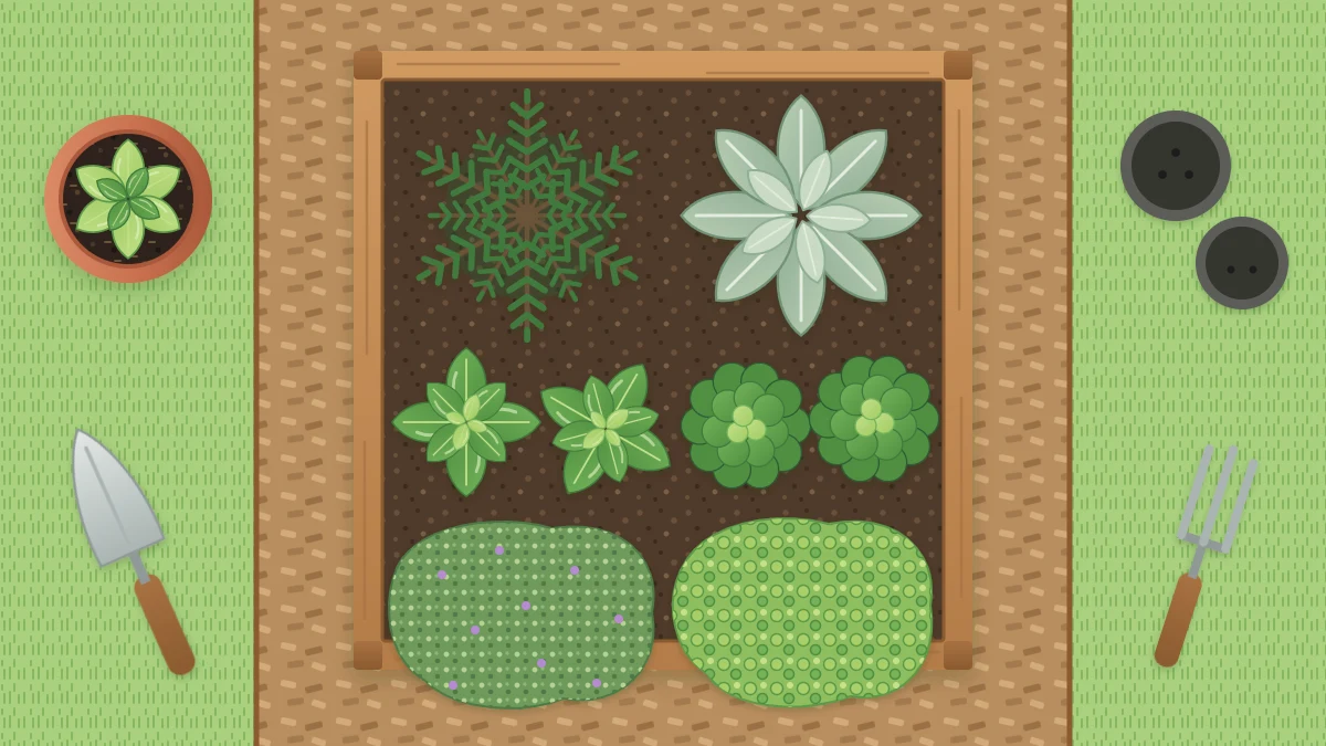 A square raised bed from above with tall rosemary and sage at the back, basil and parsley in the middle, thyme and oregano over the front edge