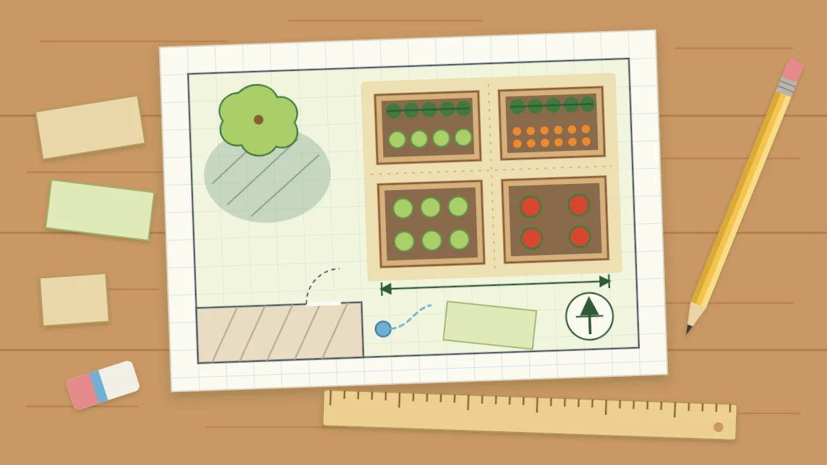 Grid paper on a table with a hand-drawn plan of four rectangular beds and paths, a pencil, a ruler and a north arrow