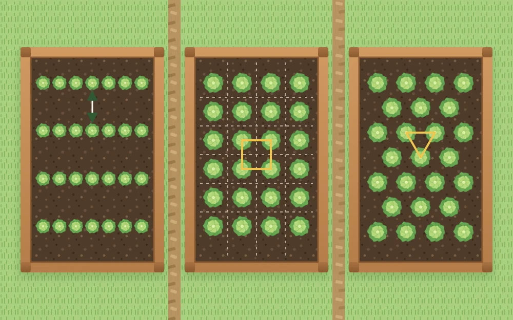 Three small beds seen from above showing straight cross-rows, a square grid of evenly spaced plants and a staggered triangular pattern