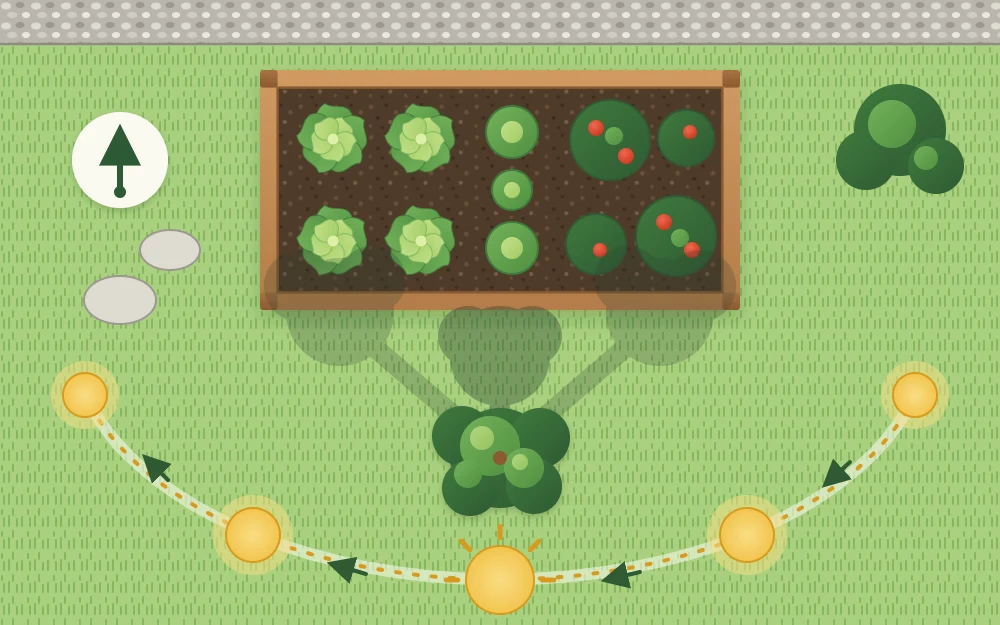 A bed seen from above with an arc of five sun positions crossing the scene and a tree's shadows at three times of day
